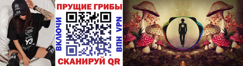 Псилоцибиновые грибы мицелий  Чулым 